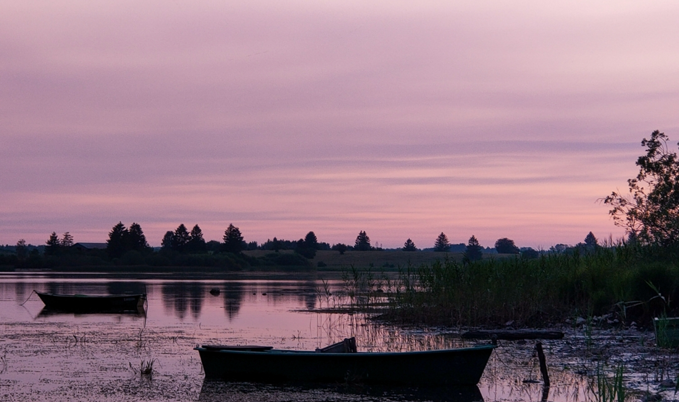 À l'aube chantent les Foulques 