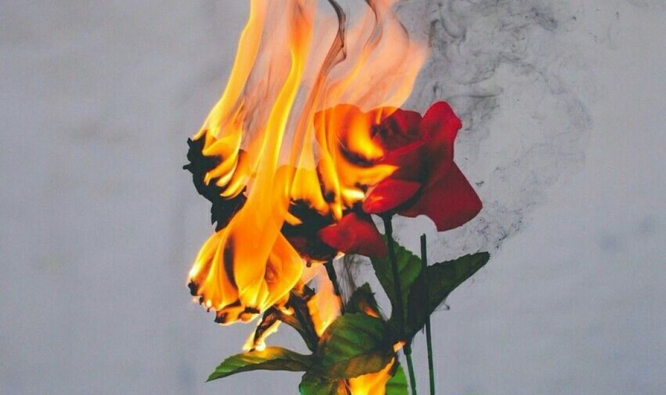 les cendres d'une vie