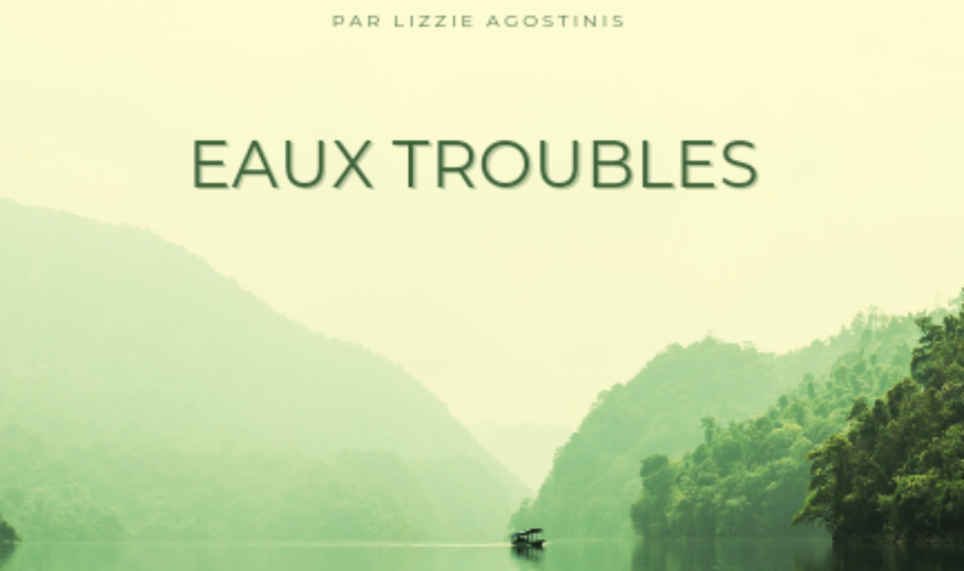 Eaux troubles 