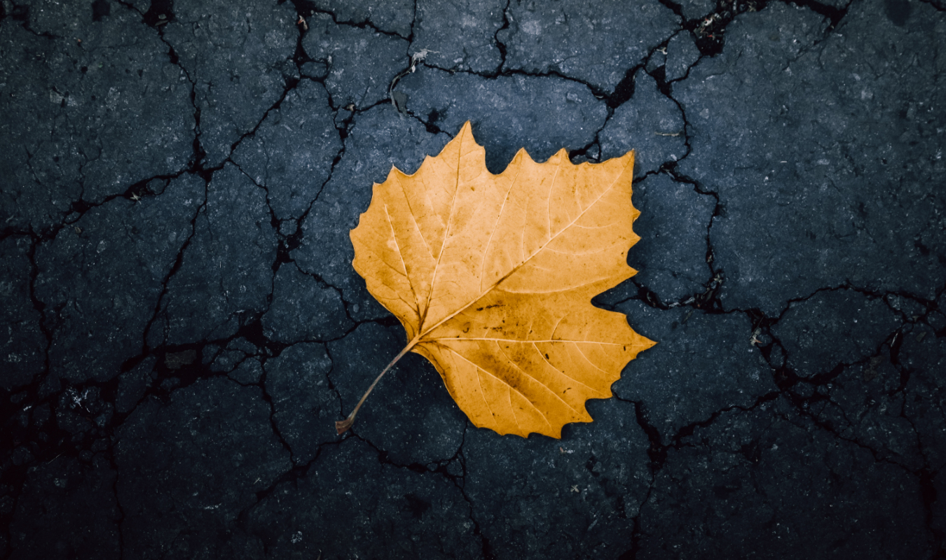 Nous reste-t-il une chance ?