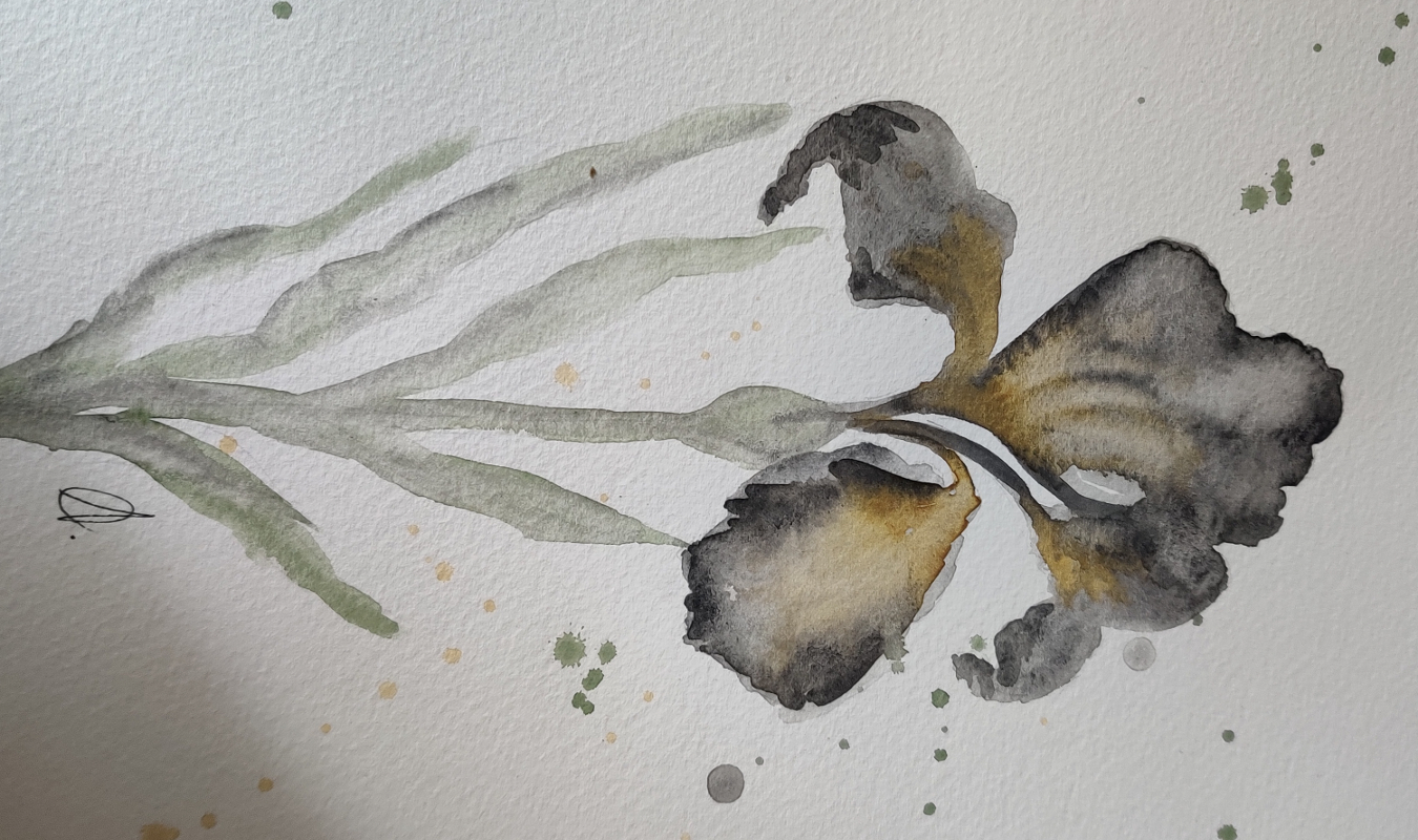 SYST3MA : L'Iris Noir