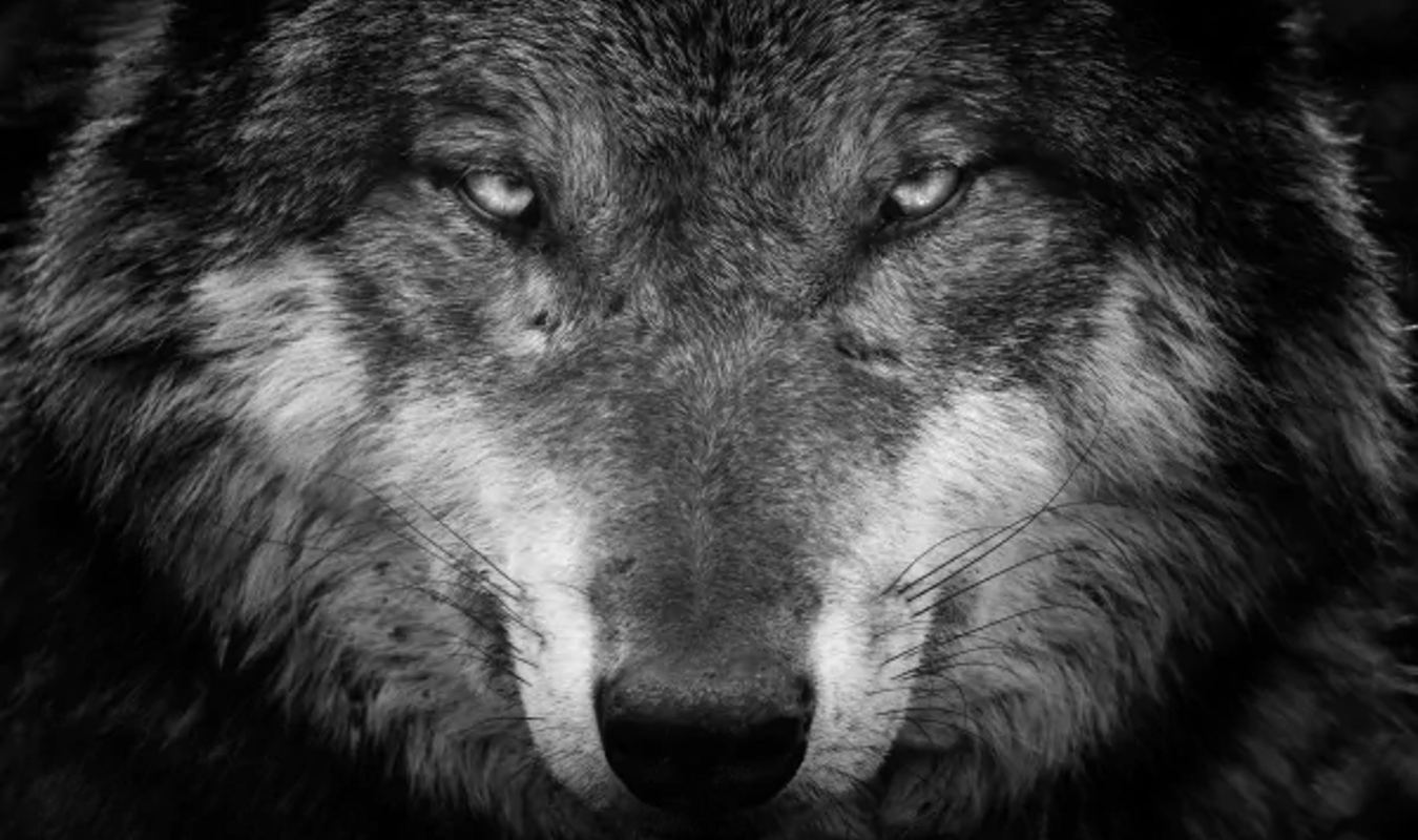 Forêne- La région Castellane