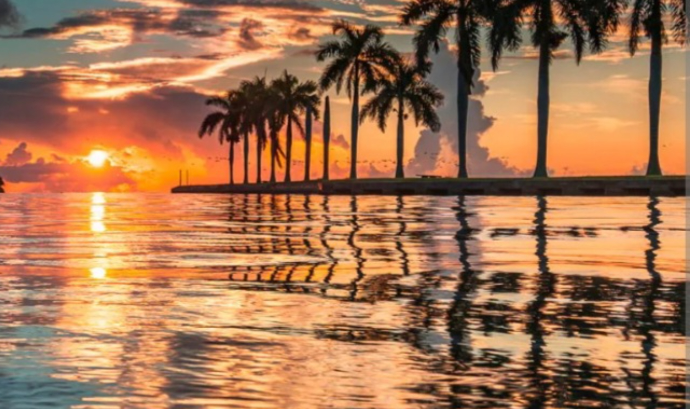 Je te détesterais toujours !