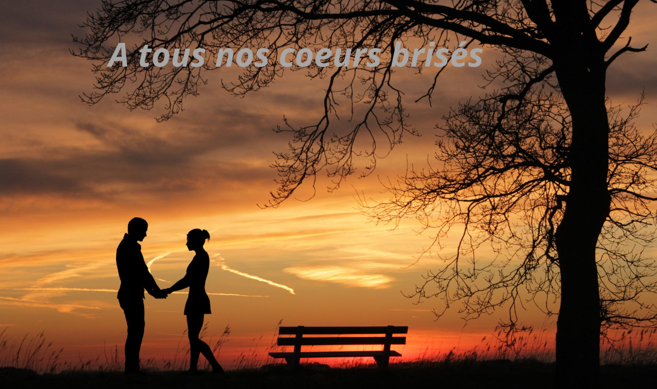 A tous nos cœurs brisés 