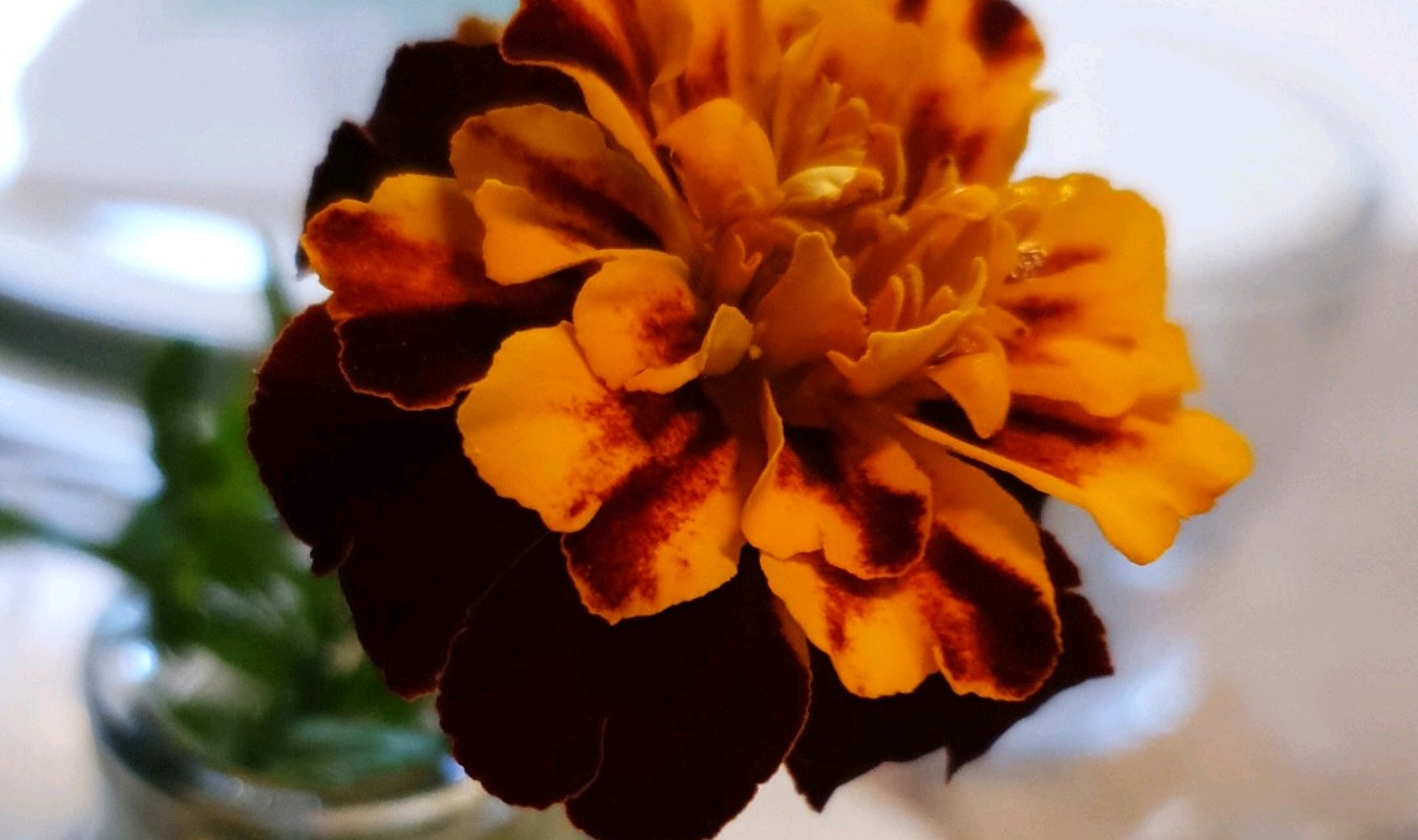 Le poids des secrets 