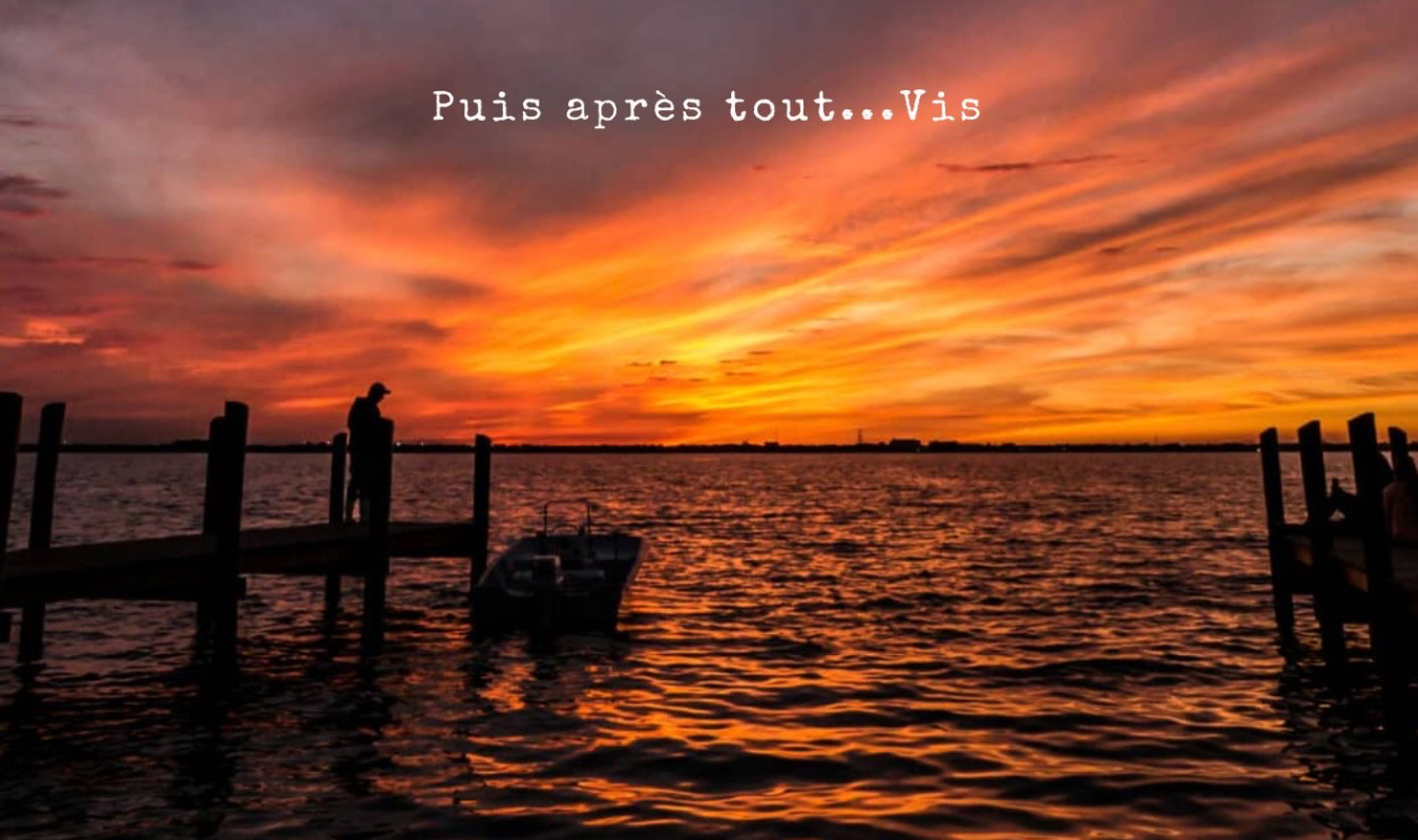 Perfection of Paradise 