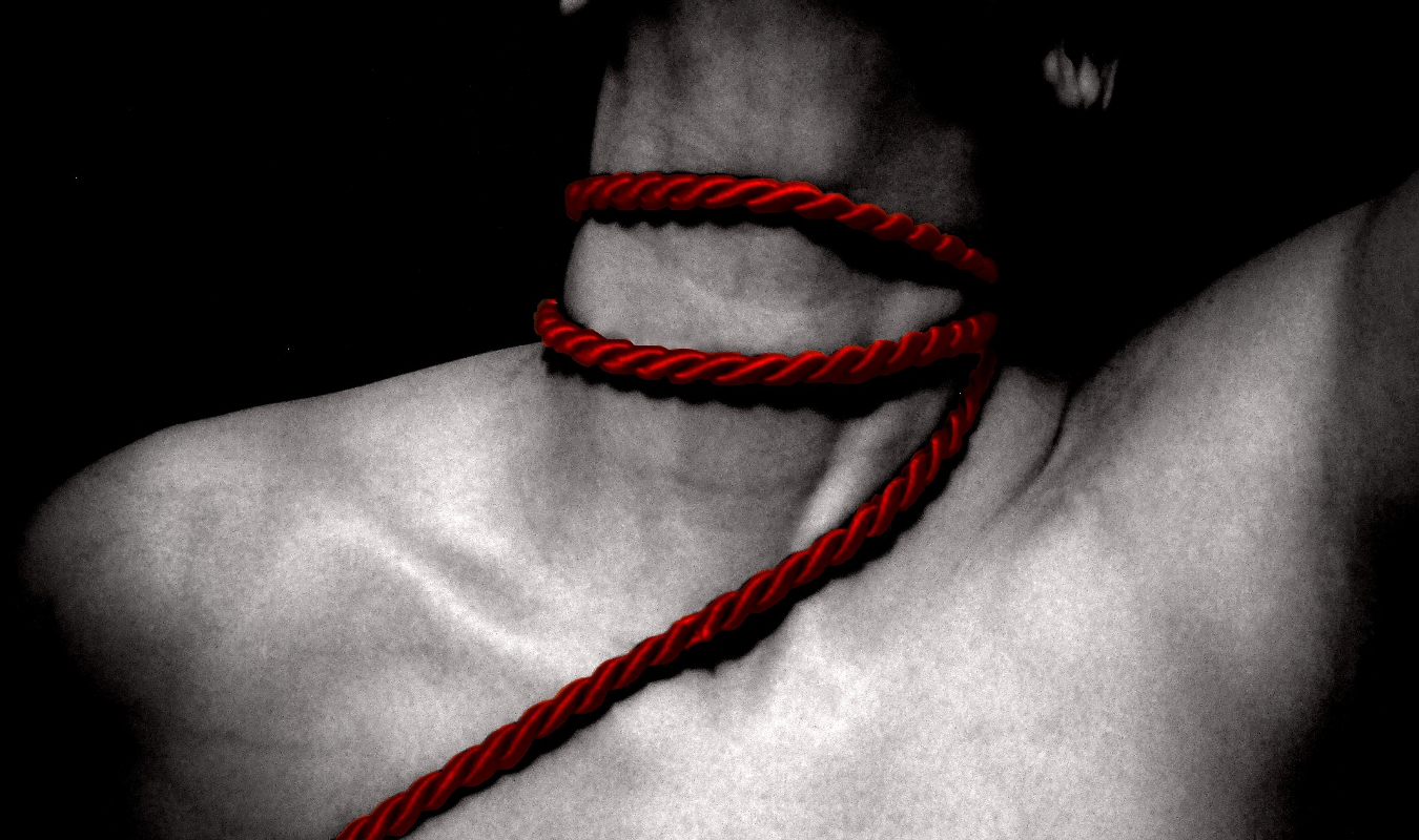 Le Plaisir Libre (premier jet 2024)