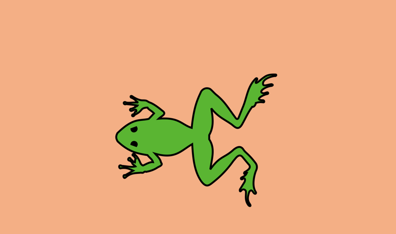 Grenouille verte sur mur orange