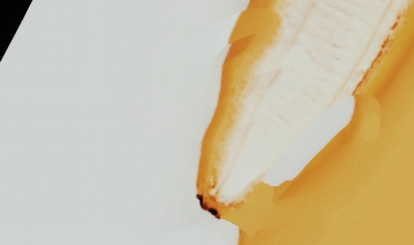 Quand la vie s'epluche.