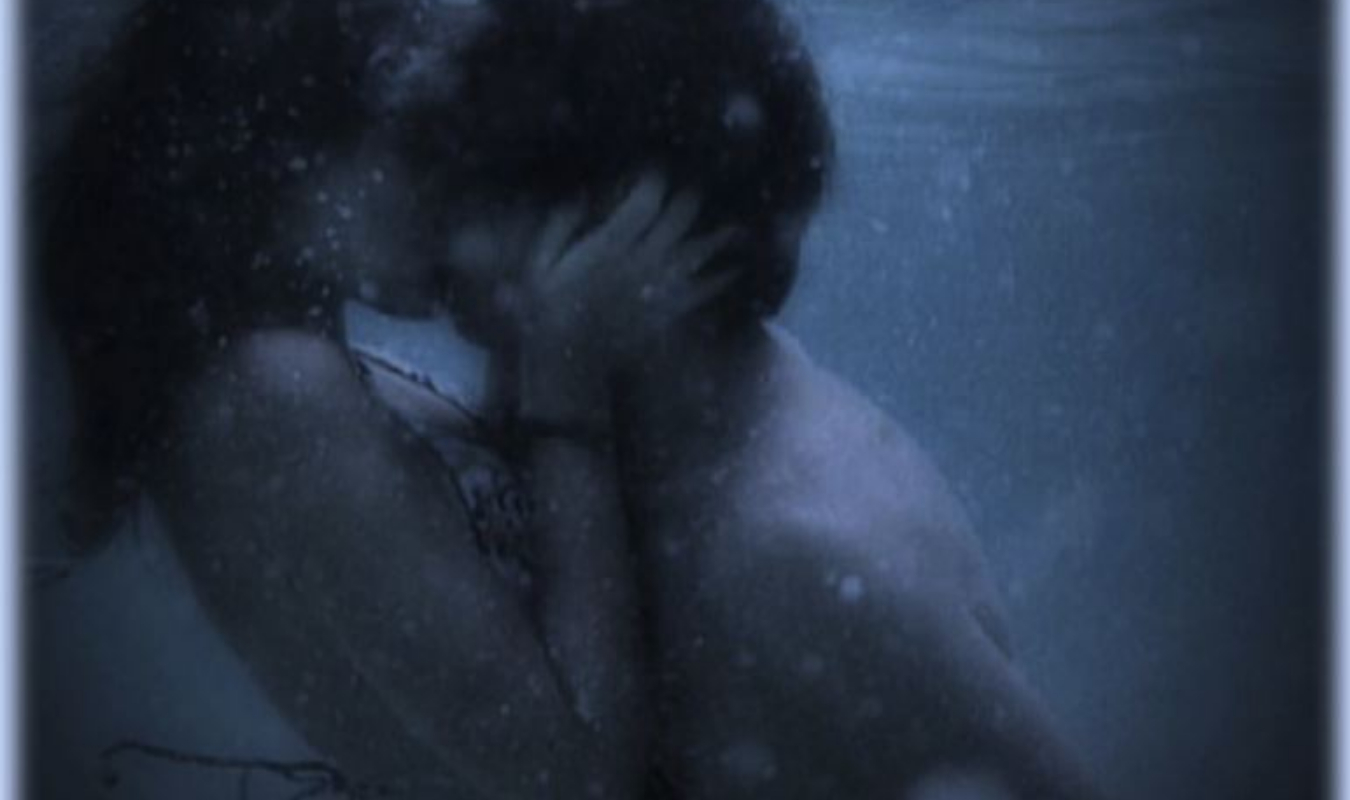 Les Meilleures Intentions du Monde