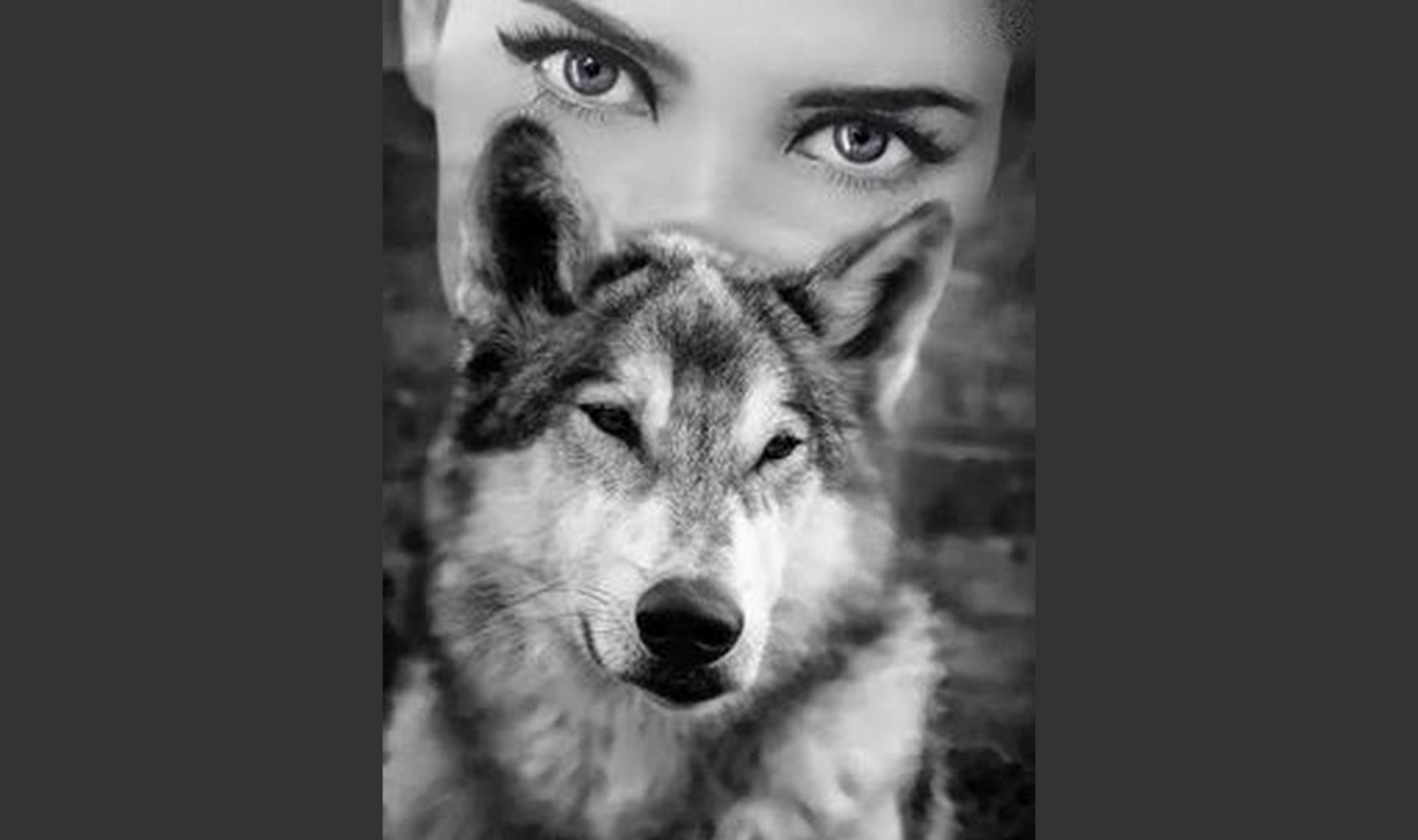 Anaïs et l'homme des bois