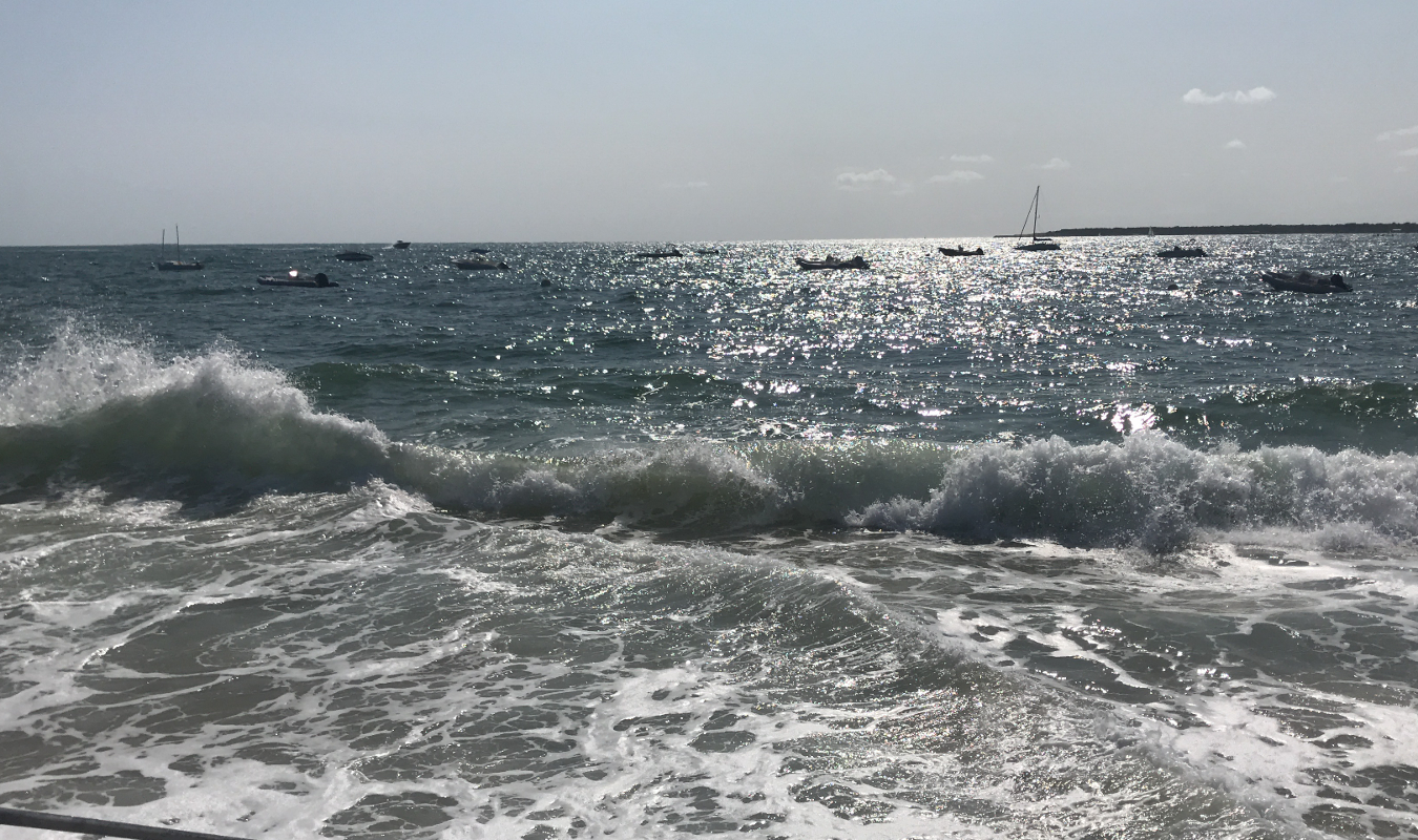 Choisir pour renaître