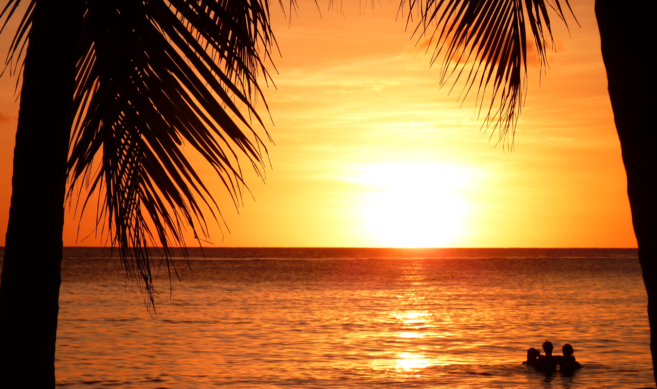 Souviens-toi le printemps dernier. 