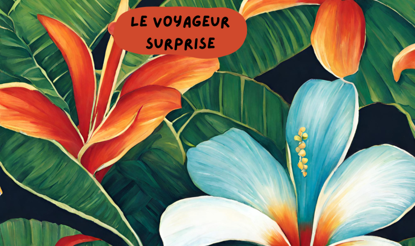 Le voyageur surprise 🏝️