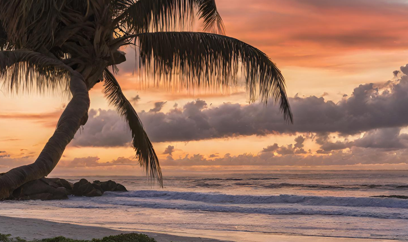 Un geek amoureux sous les tropiques