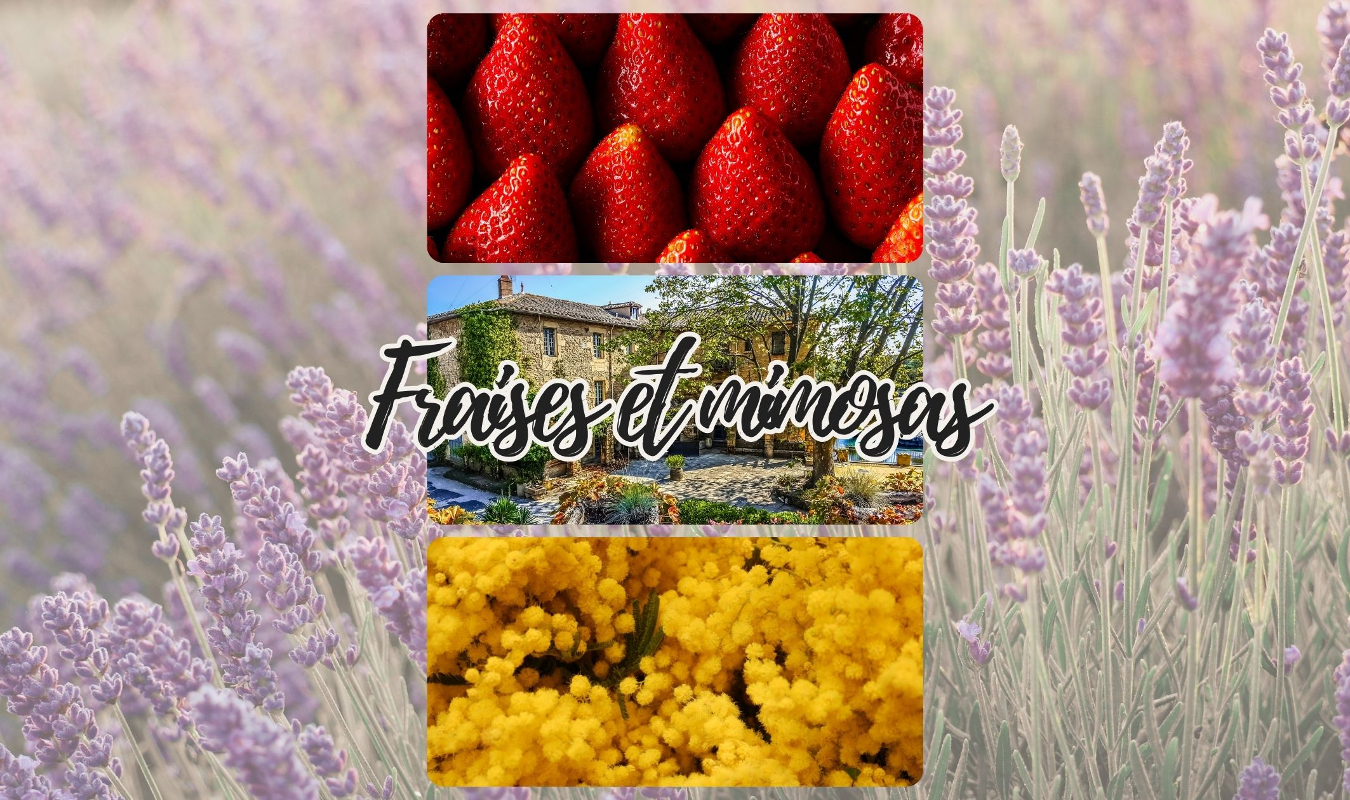 Fraises et Mimosas