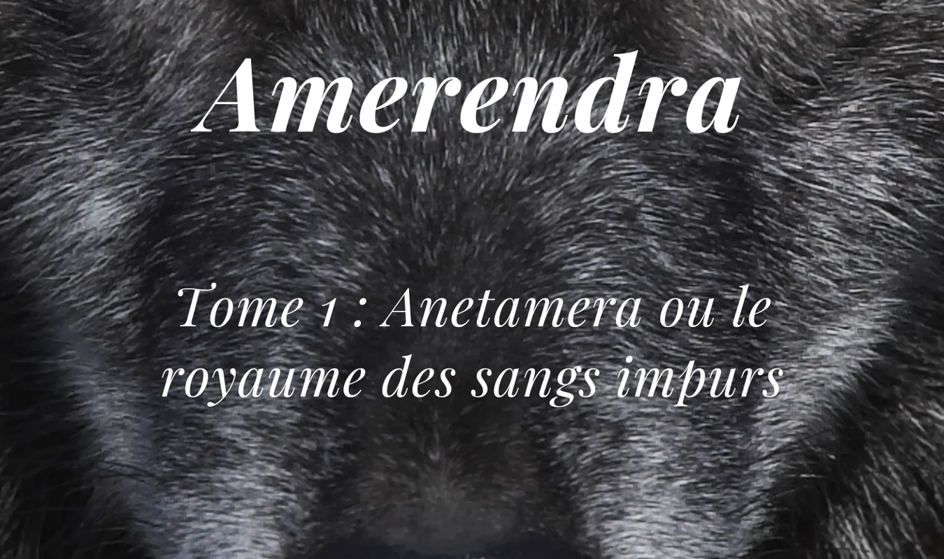 Amerendra : Anetamara ou le royaume des sangs impurs