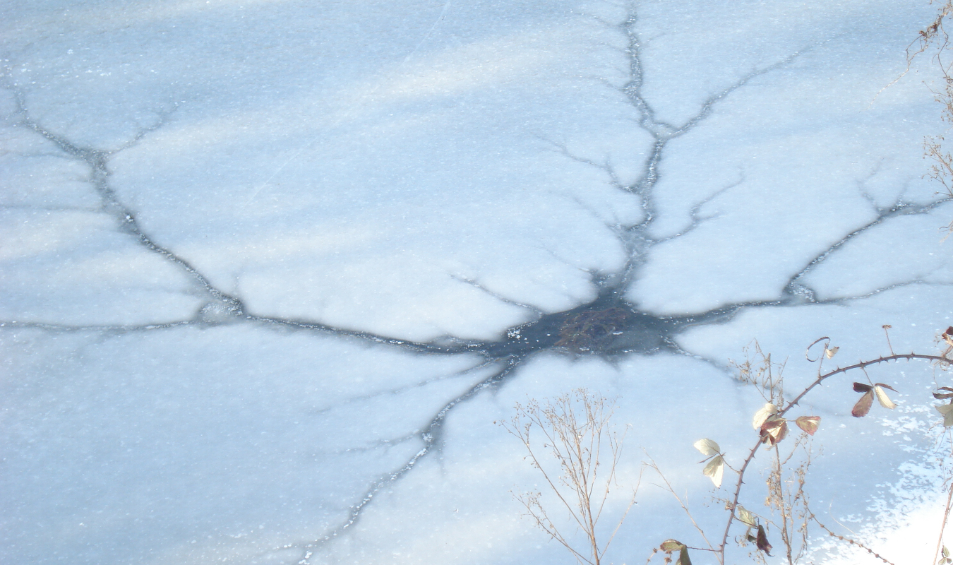 Du chaos à la résilience - Comme un nuage enveloppant la lune endormie
