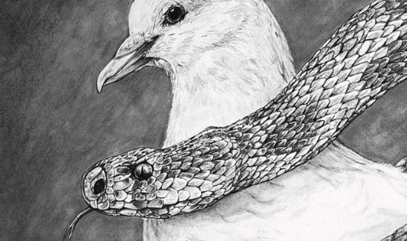 Le Serpent et La Colombe