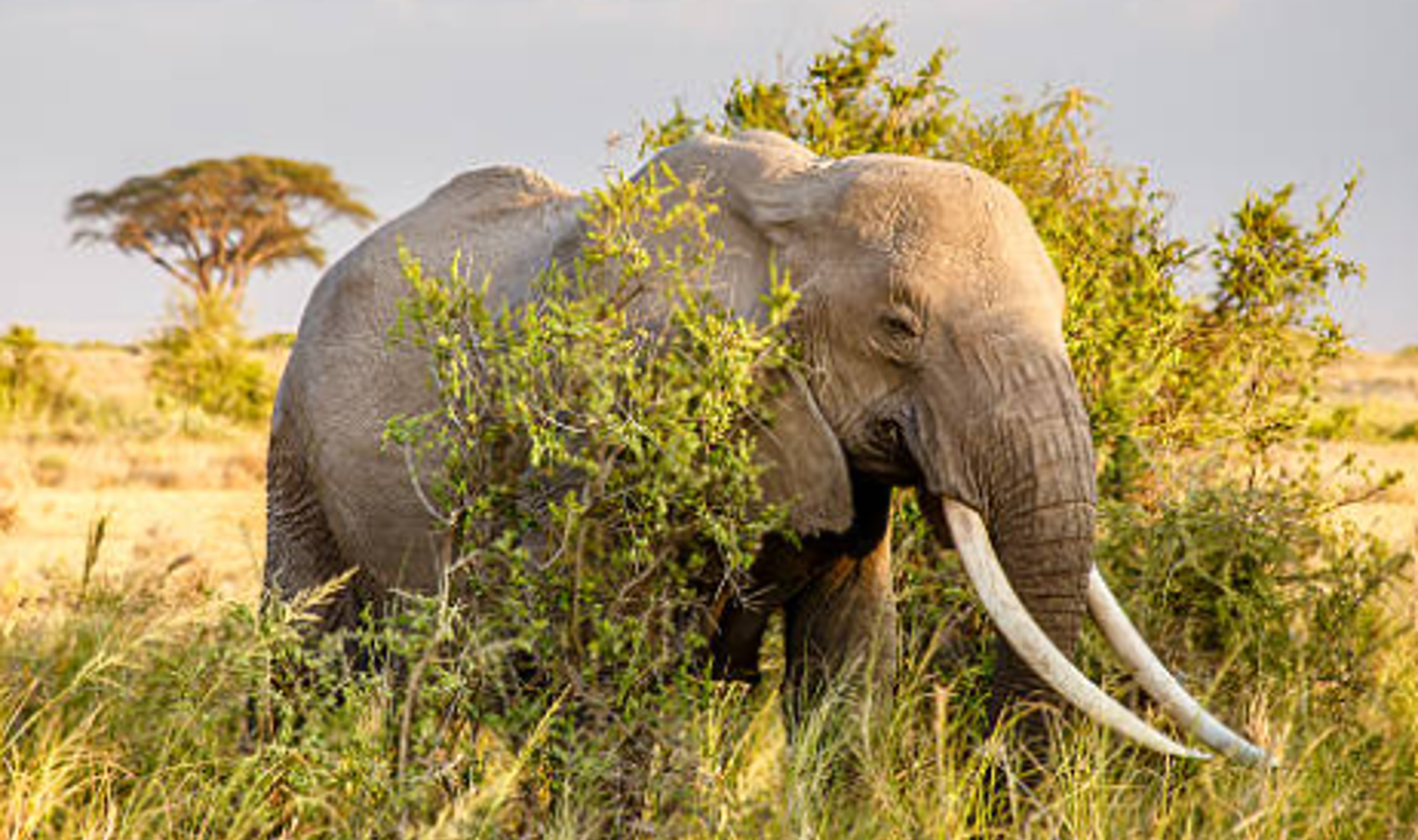 #2 Moi, et les autres.