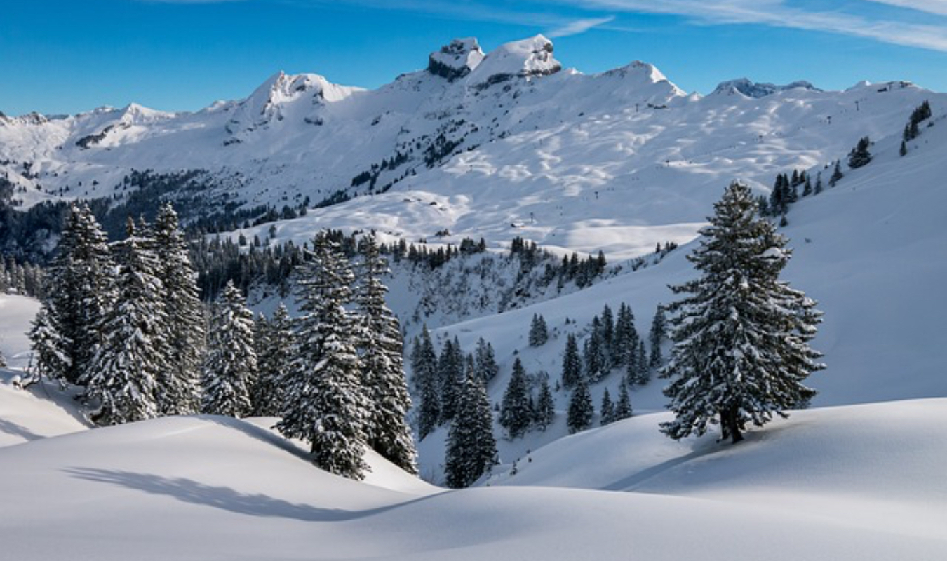 FYCTIOLYMPIADES (Lys de Suys)