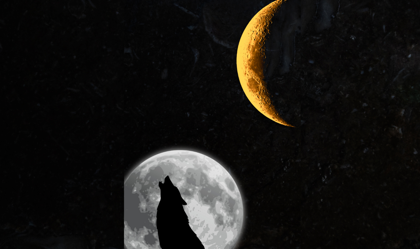 D’or et de Jais - Tome 2