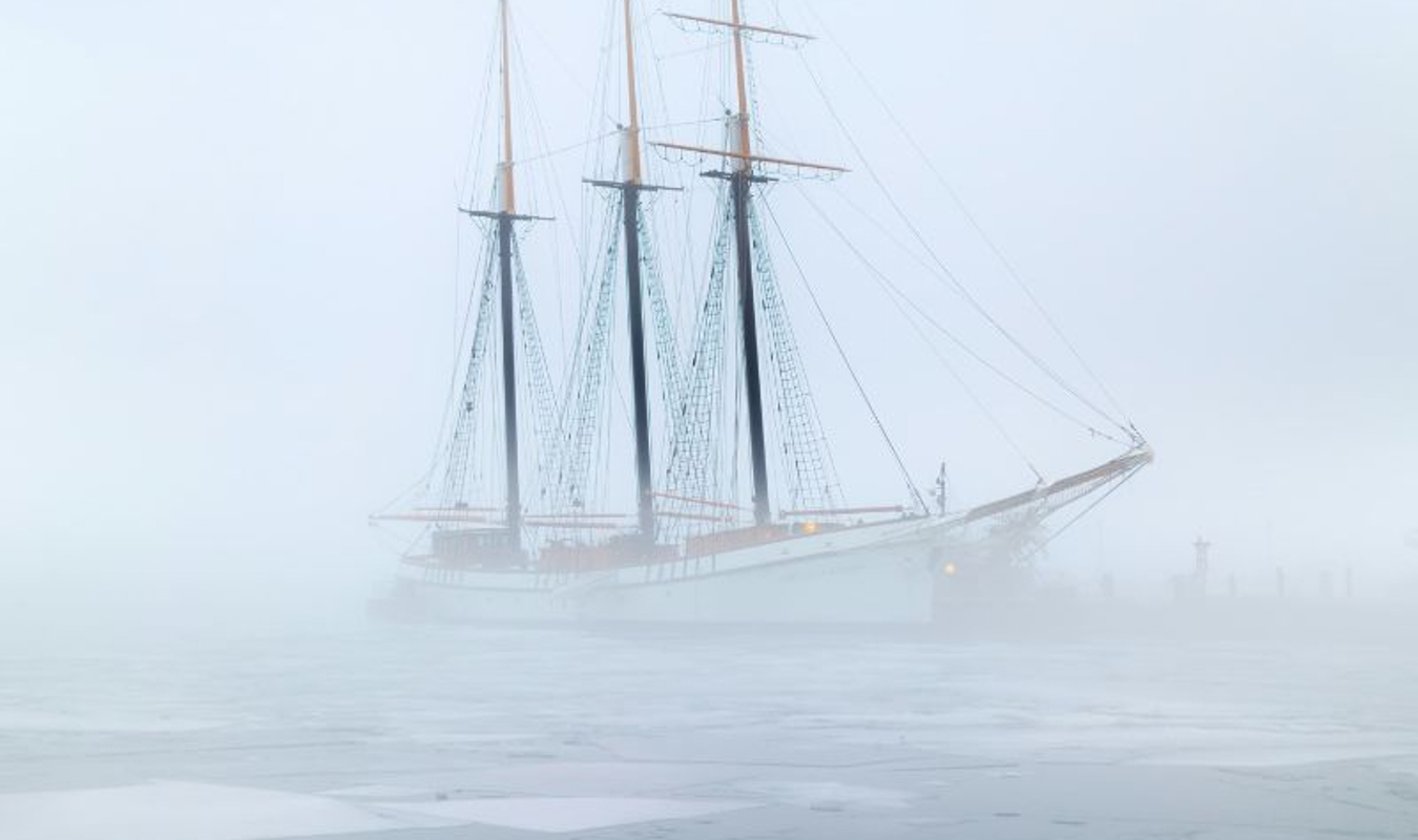 Fyctiolympiades - Monroe D