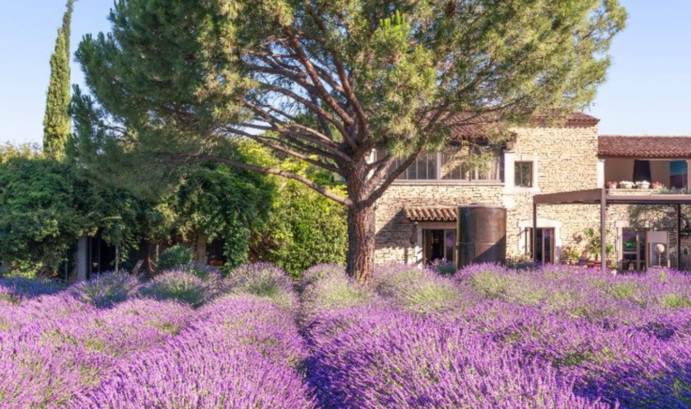 L'amour tue plus de soleil