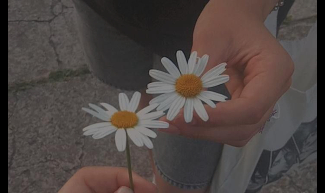 FYCTIOLYMPIADES - Angelem20 