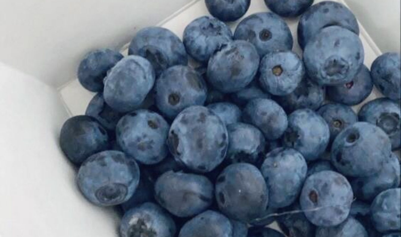 Fyctiolympiades - Ariane 🫐