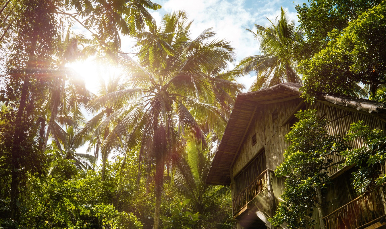 Les Archipels du Nouveau Monde