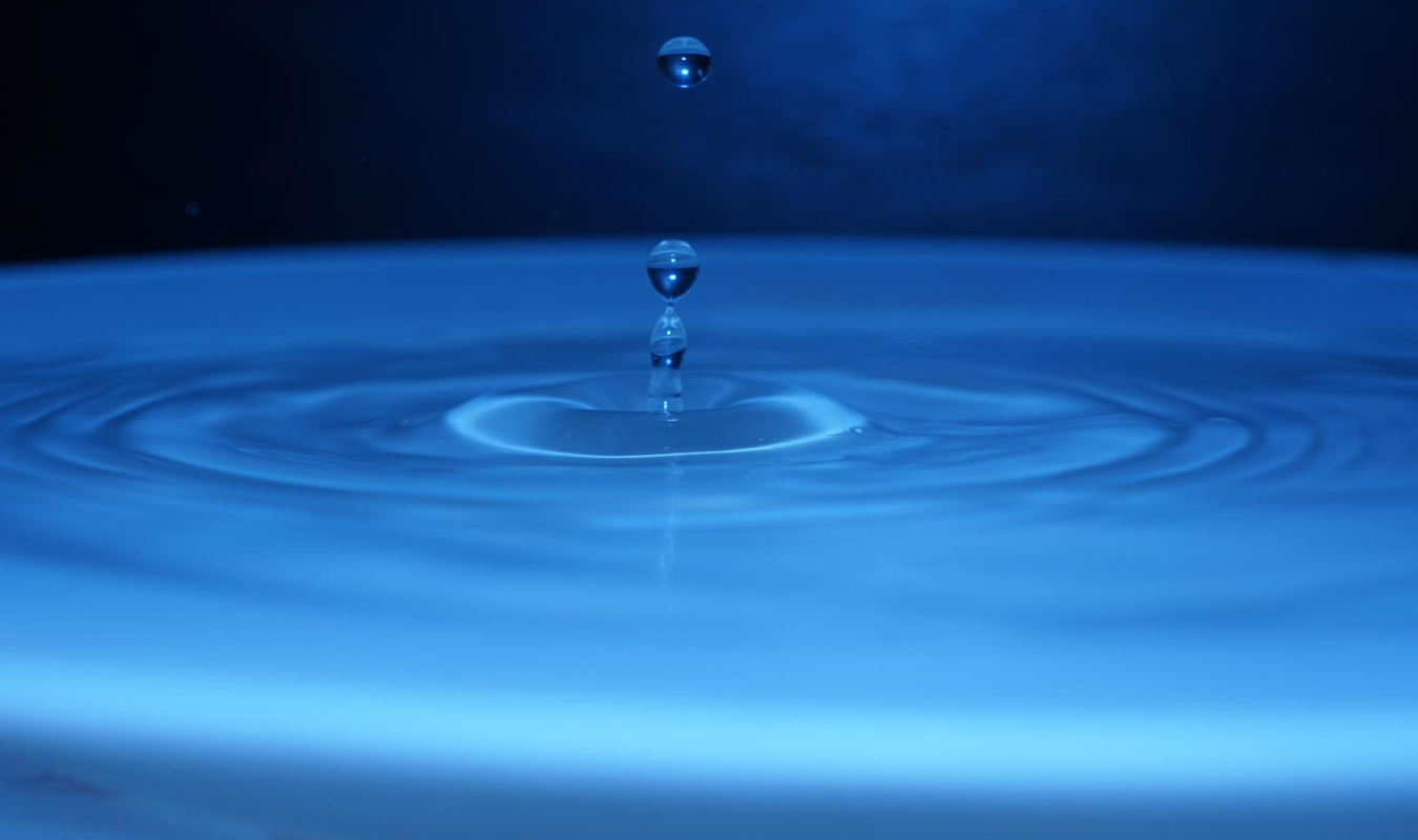 Au-delà de nos différences !