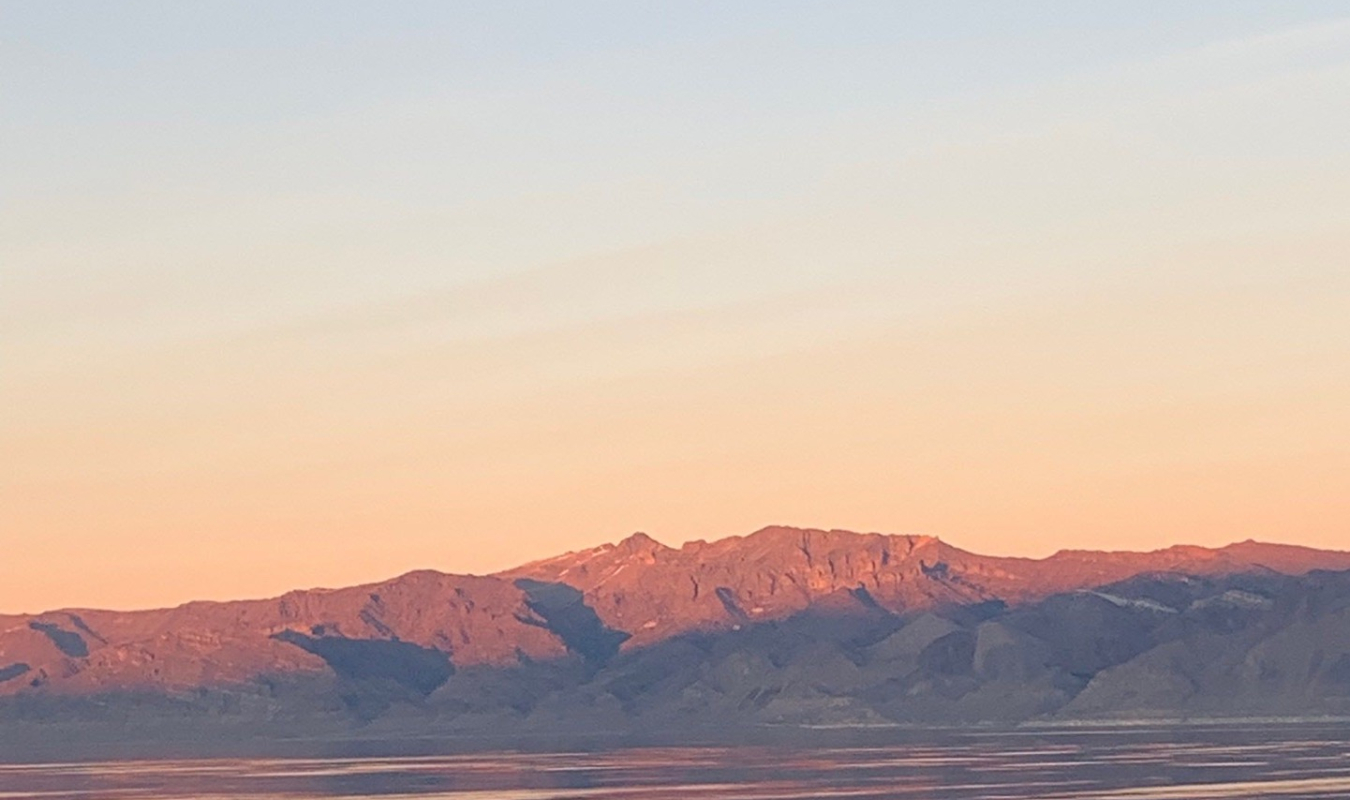 L'Ours dans la Montagne