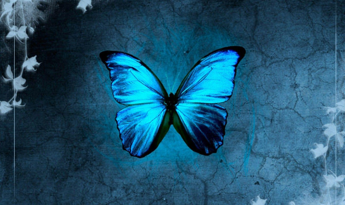 L'amour rend aveugle, la passion tue