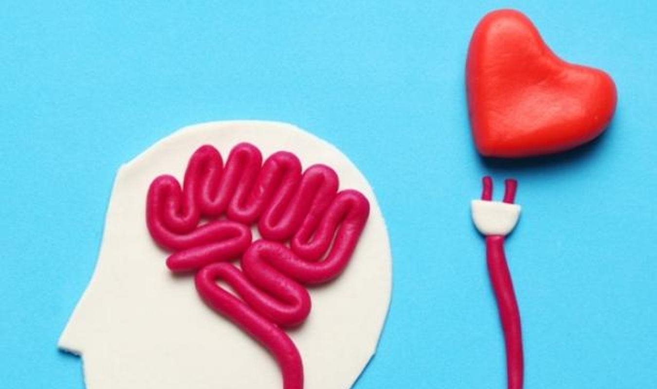 Ô déni, ô désespoir !