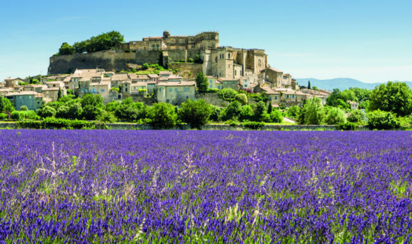 A l'ombre des abricotiers