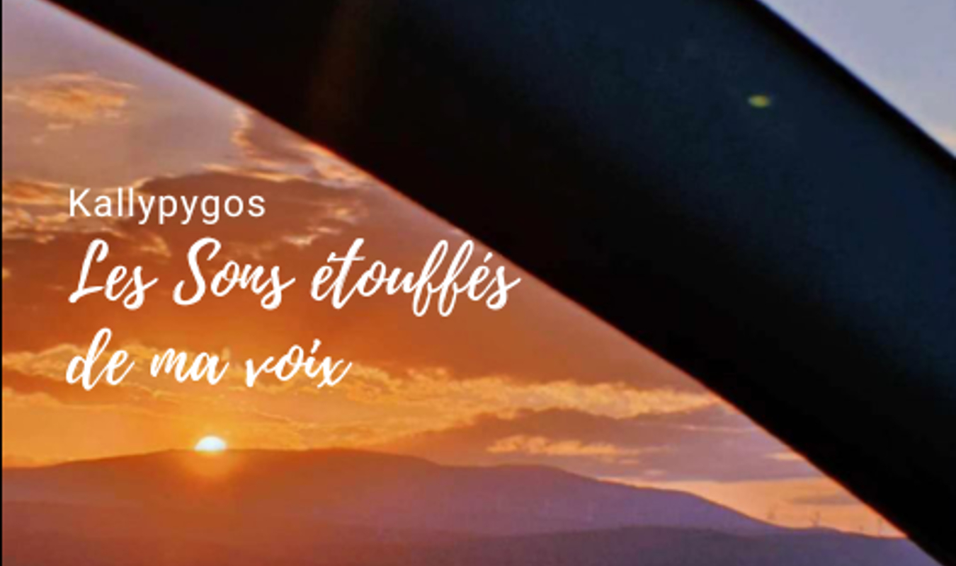 Les sons étouffés de ma voix