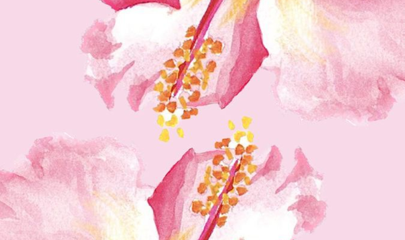 Un aller sans retour. 