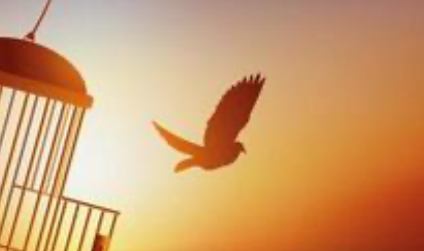 Parce que tu ne m'entends pas... vivre avec un pervers narcissique