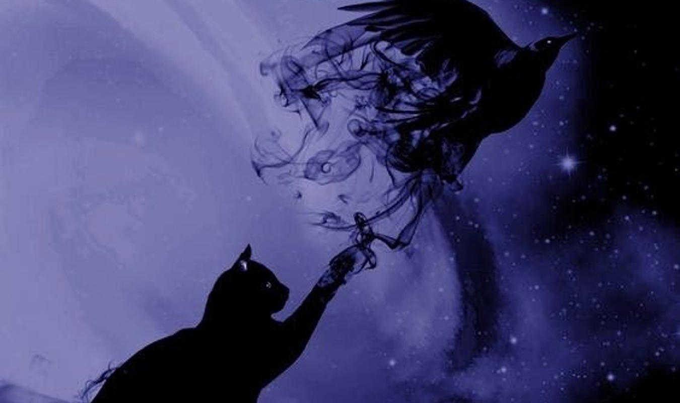 Lysandre Moldaquor & l'Académie Darkeldruid 