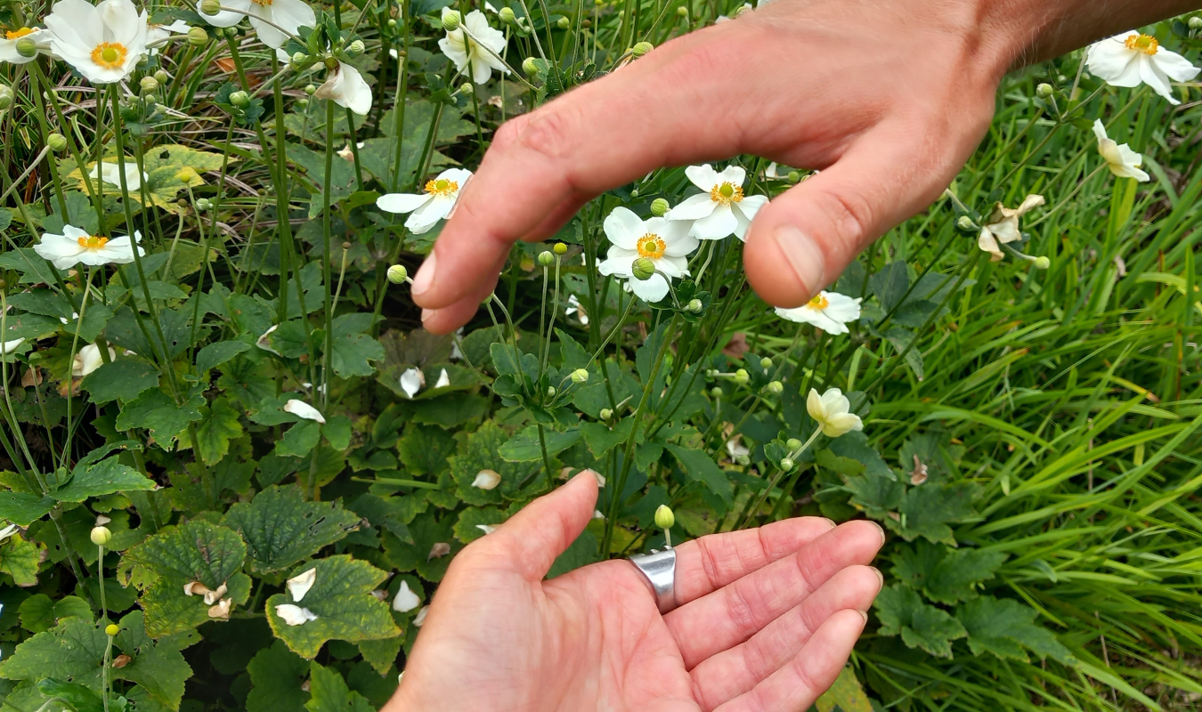 La liberté a deux roues 