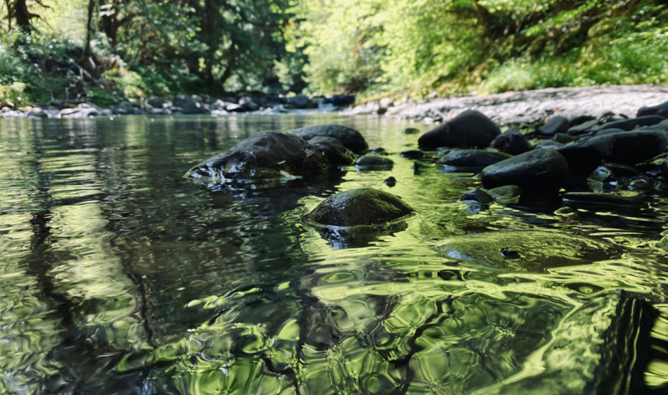 Sa « Khara pneuma »