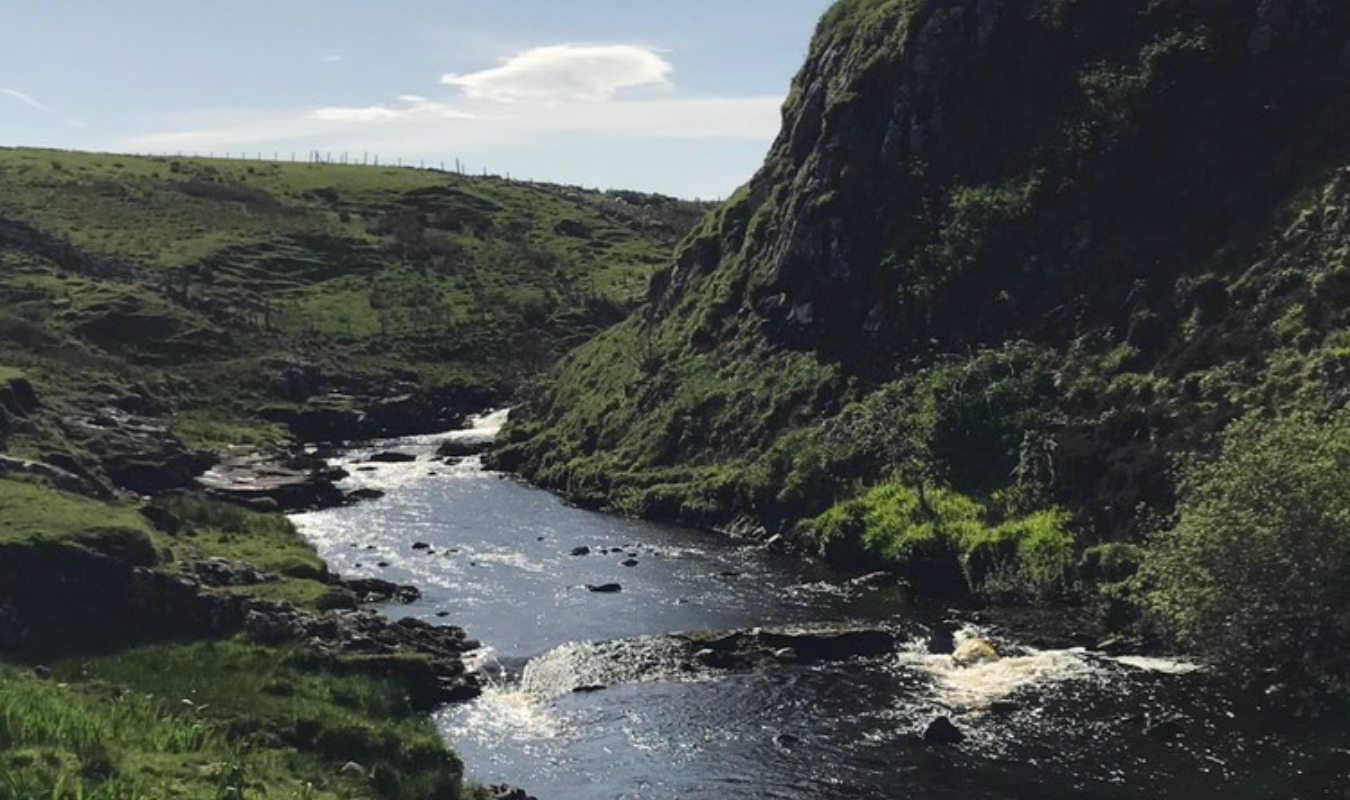 La Descendante des fées