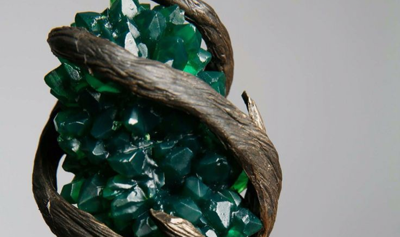  La dernière baguette du sorcier !