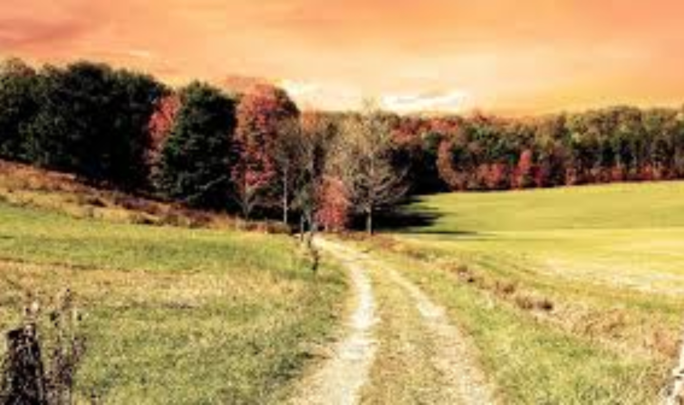 Entre passé et future