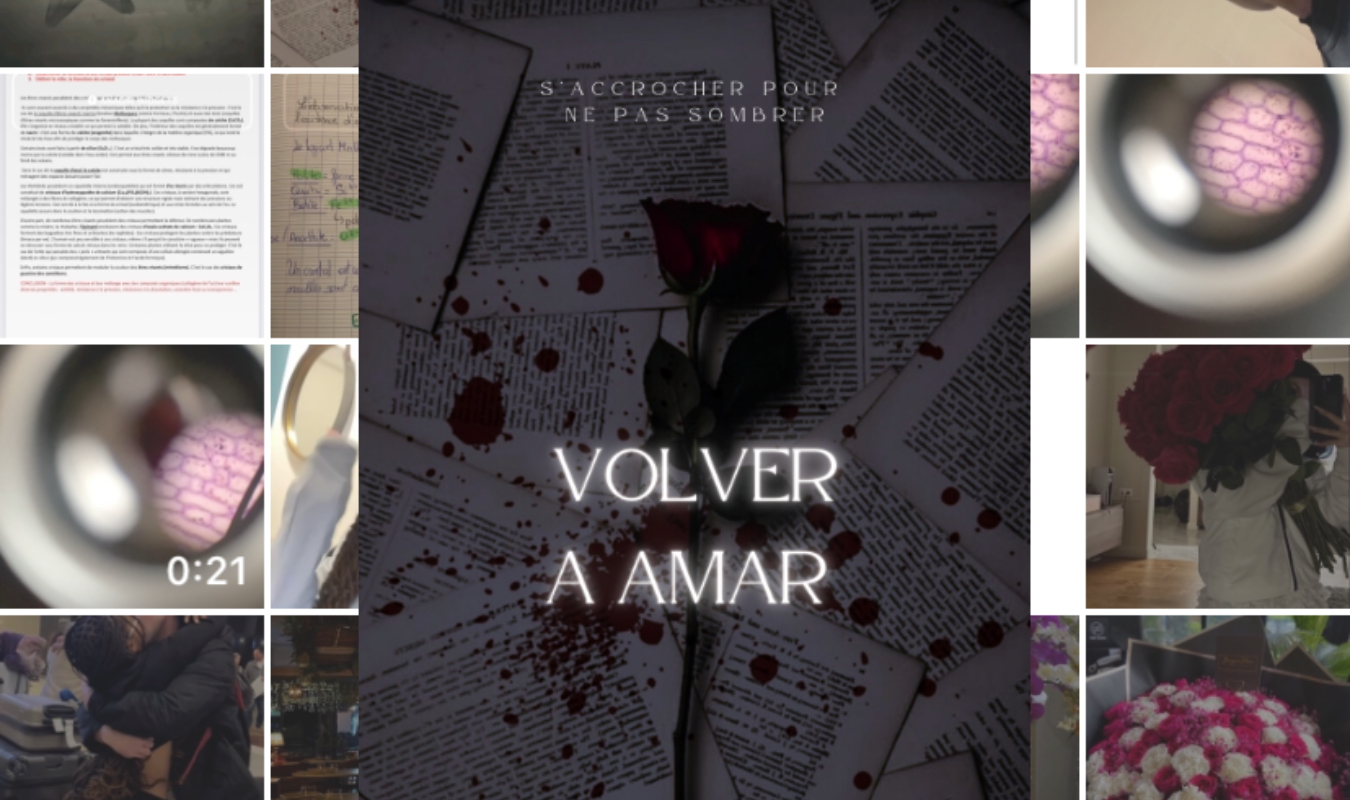 Volver A Amar