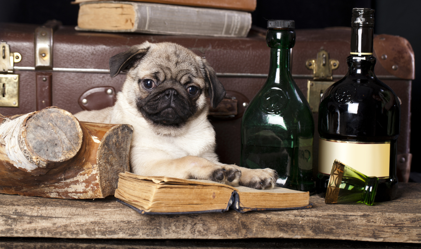 Un nouveau départ sur les chapeaux de roue