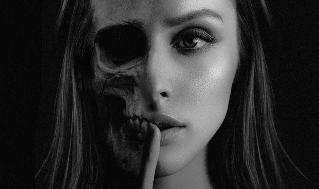 Le Maitre des ombres