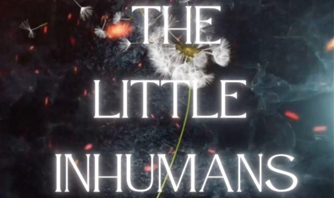 The little inhumans tome 1