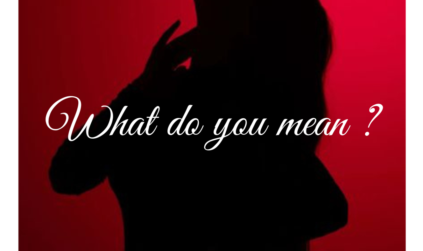 What Do You Mean ?